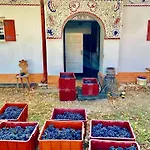 Vinaře / At Winemaker's * Rohatec