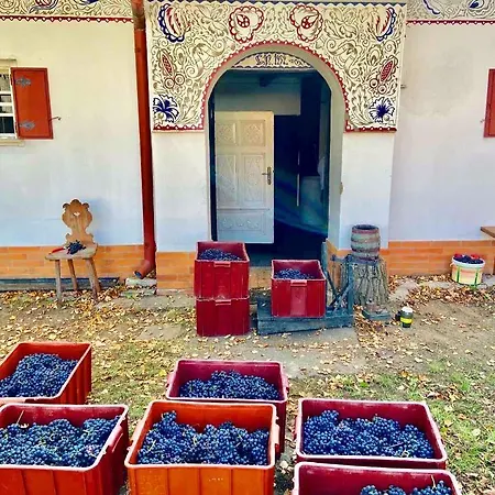 Vinare / At Winemaker's * Rohatec